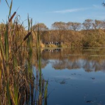 Dolina Trzech Stawów w Katowicach