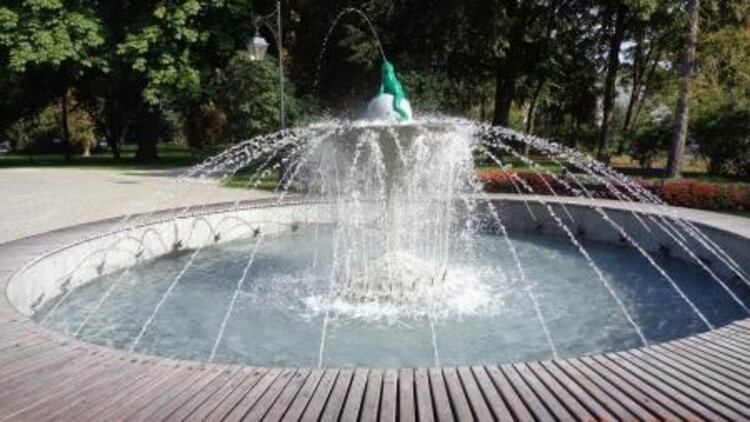 Fontanna z żabką w Ciechocinku