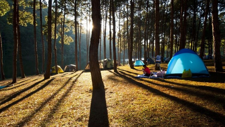 Trendy w świecie Campingu
