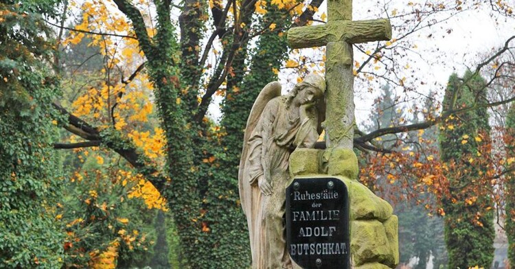 Stary cmentarz w Łodzi