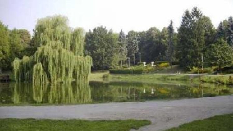 Park miejski w Zamościu