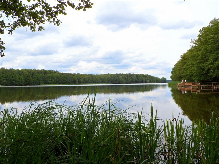 Atrakcje turystyczne Trzcianki