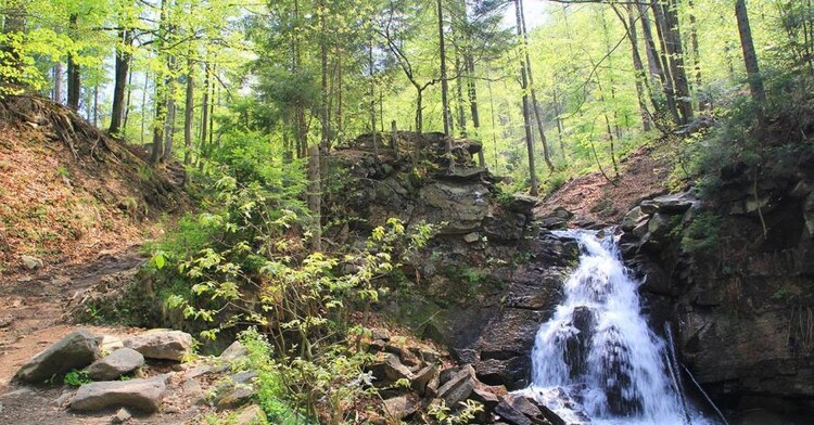 Kaskady Rodła i źródła Białej Wisełki - naturalne cuda Beskidów