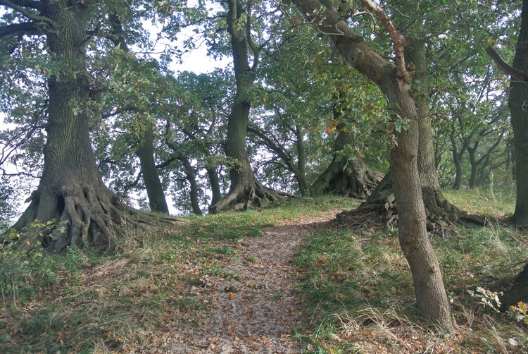 Wzgórze Piekarzyna w Świnoujściu