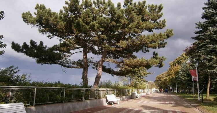 Promenada i centrum miasta Ustki