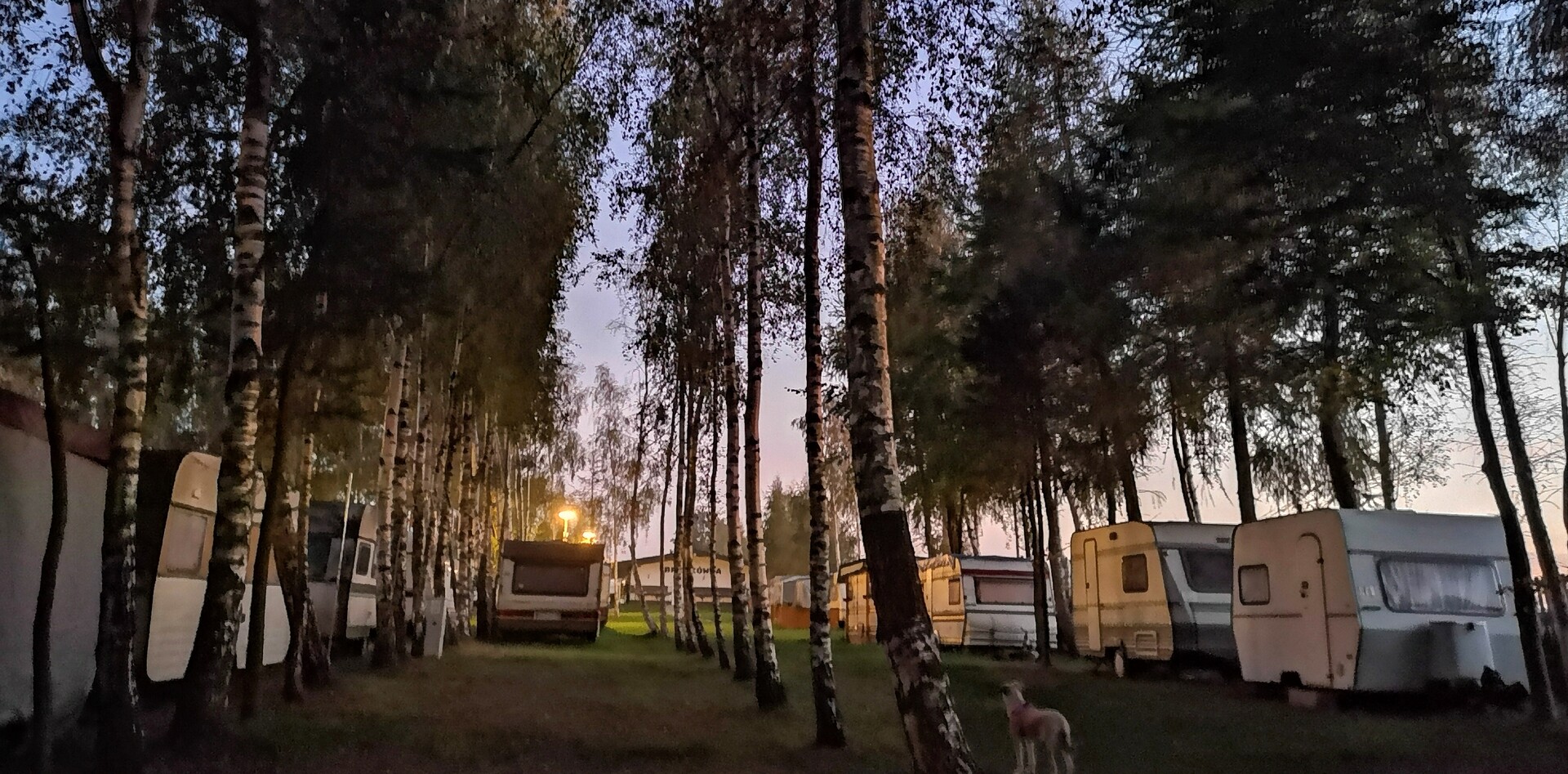 Karwia ulica Hoża noclegi 