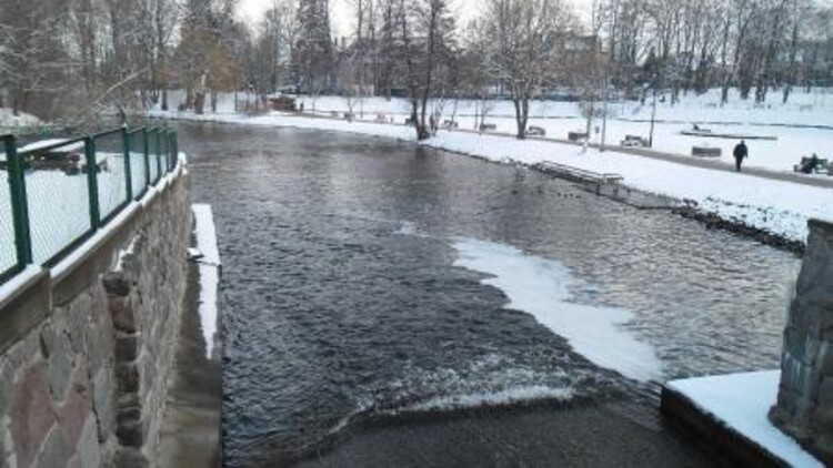 Park miejski w Gryficach