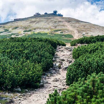 Kościół św. Katarzyny w Gdańsku