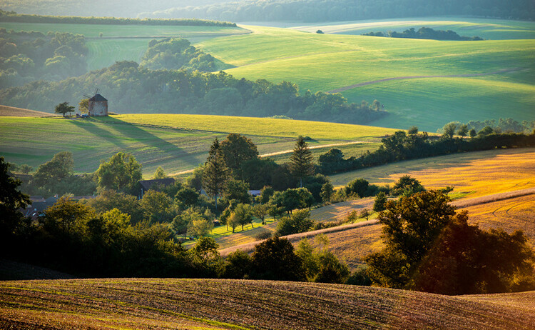 Wycieczki tematyczne
