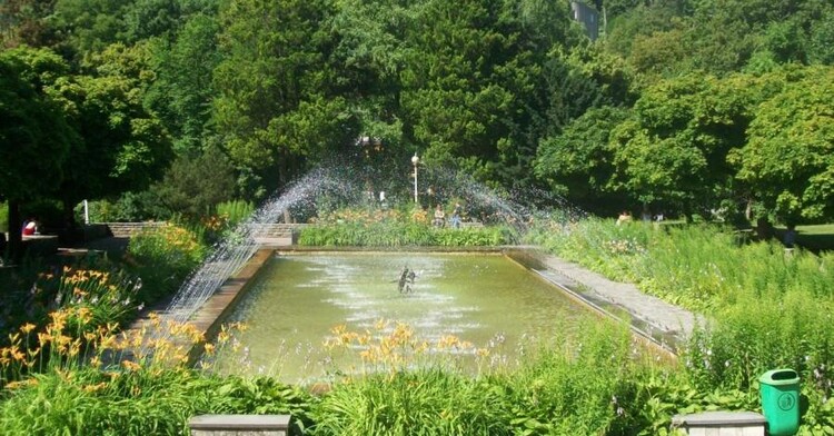 Fontanna Setka w Krynicy-Zdroju