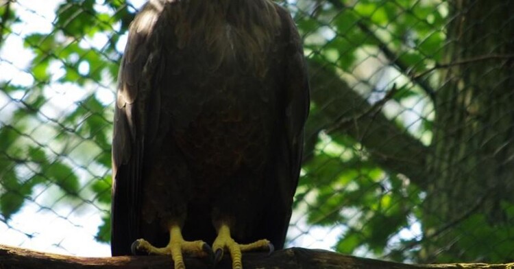 Muzeum Przyrodnicze w Międzyzdrojach