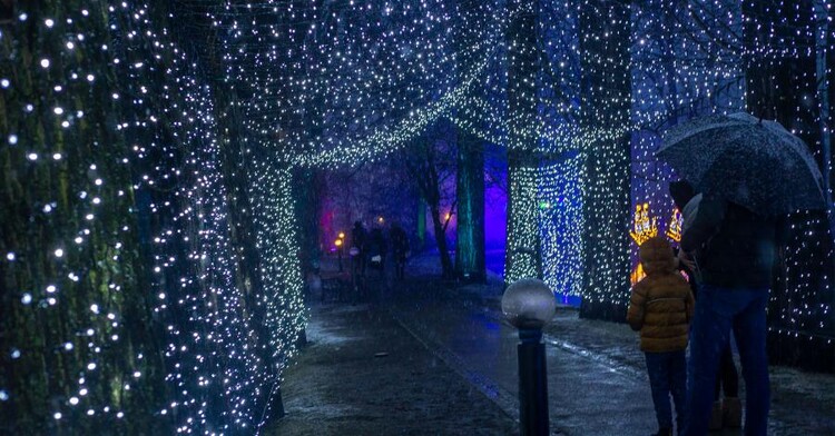 Park Iluminacji Zamek Topacz