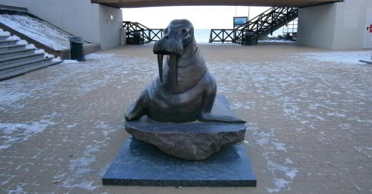 Pomnik Morsa w Mielnie