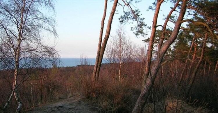 Atrakcje w okolicy: Co zobaczyć w pobliżu?