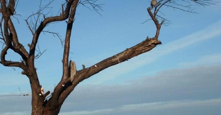 Deptak na plaży w Mielnie