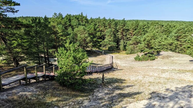 Atrakcje w okolicy ulicy Na wydmie