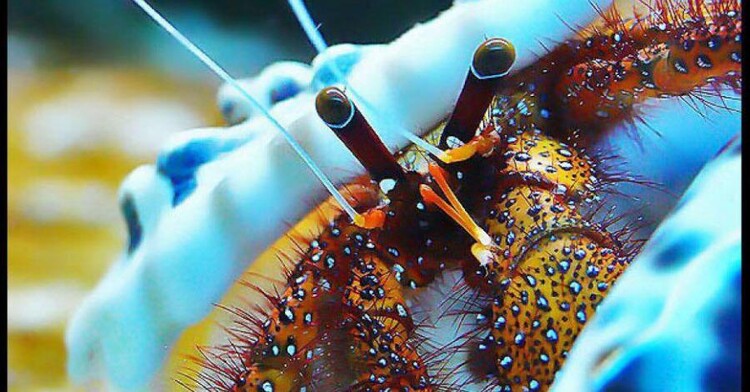 Atrakcje turystyczne i rekreacja w Pobierowie