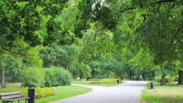 Park miejski w Kaliszu