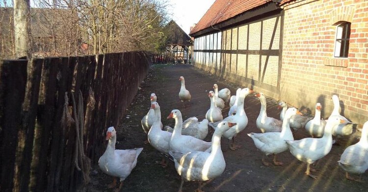 Kraina w Kratę na Kaszubach