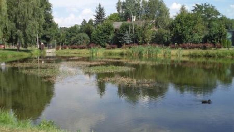 Park miejski w Kluczborku