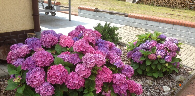 Dom Gościnny Małgosia | Bobolice - ośrodek wypoczynkowy nad jeziorem