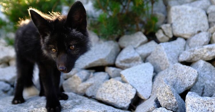 Tatrzański Park Edukacyjny