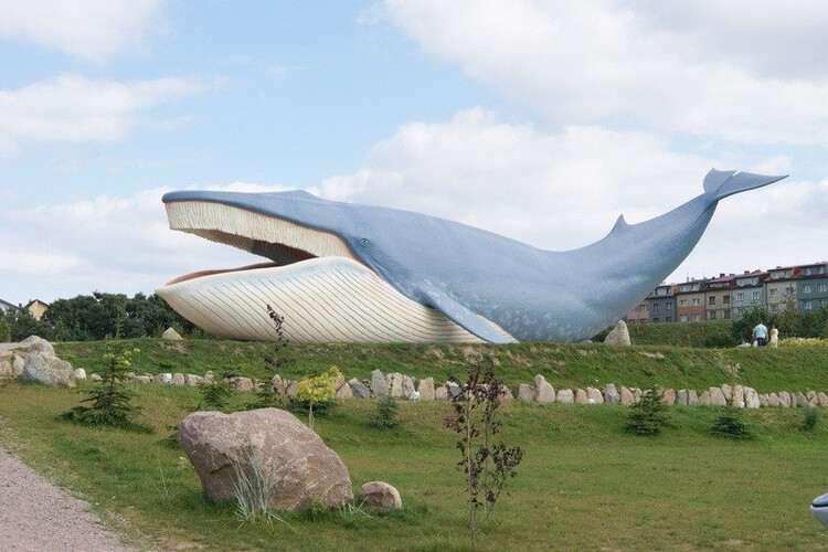 Władysławowo i Chałupy - różnorodne oblicza Półwyspu Helskiego