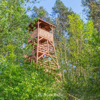 Wieża widokowa w Sępólnie Krajeńskim