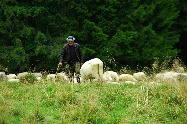 Atrakcje turystyczne Kościeliska