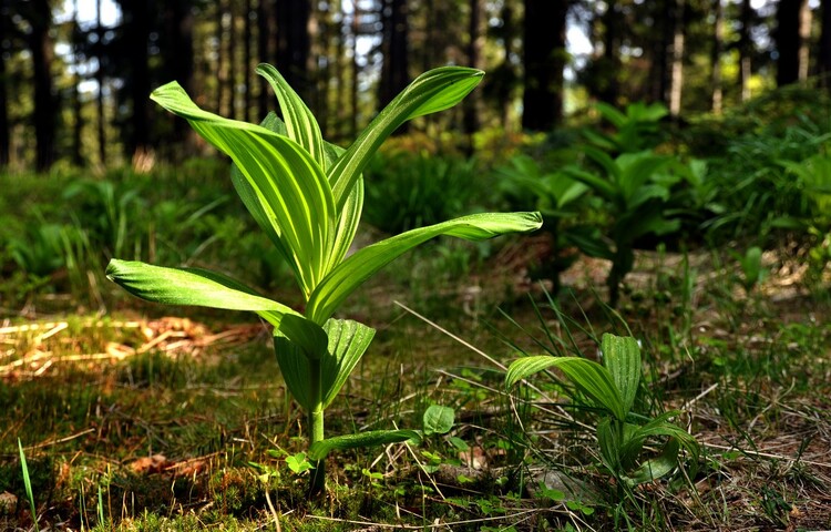 Turystyka przyrodnicza