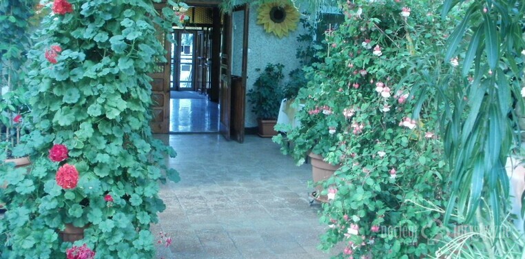 motel jermir - patio 