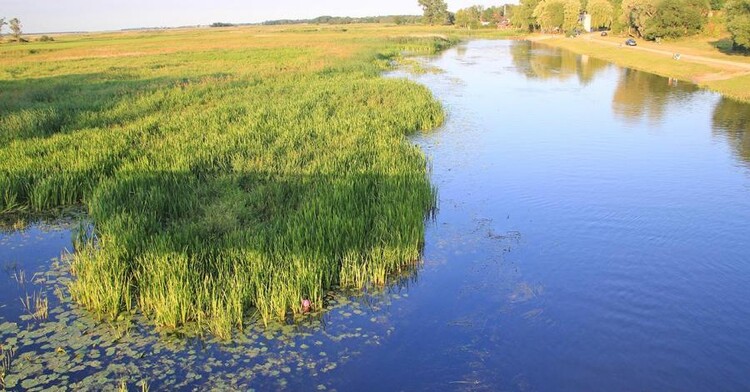 Biebrzański Park Narodowy