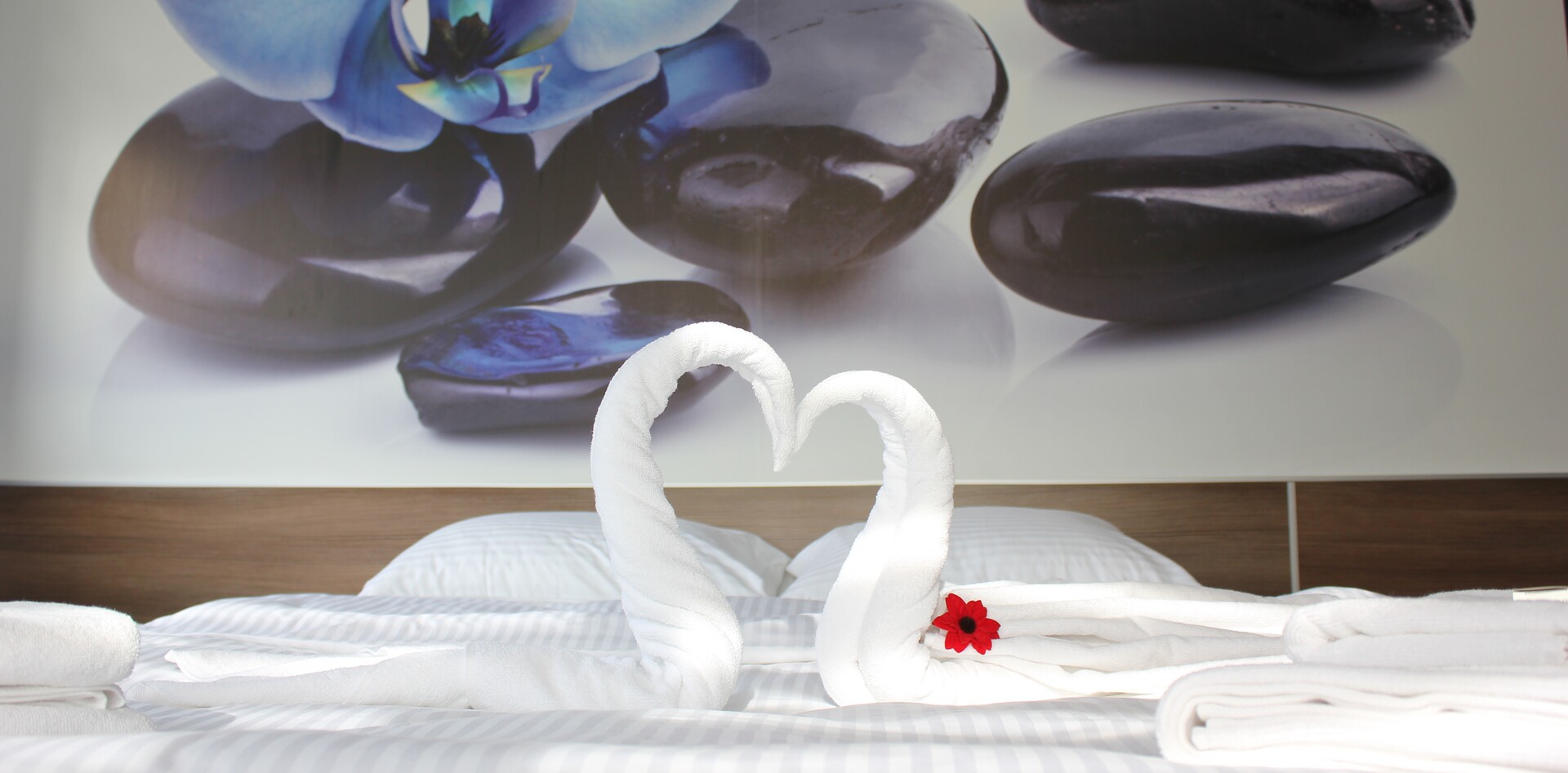 Góra Kalwaria noclegi