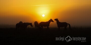 Szczytno Agroturystyka - Nad jeziorem