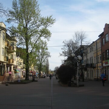 Kościół Mariacki w Gdańsku