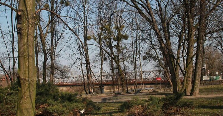 Park Nadodrzański w Brzegu