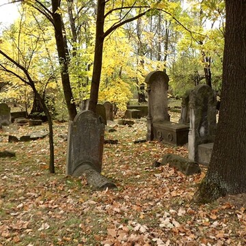 Kościół Mariacki w Gdańsku