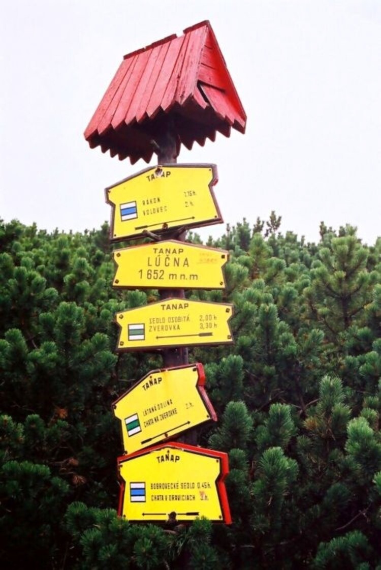 Zabytki i atrakcje Witowa