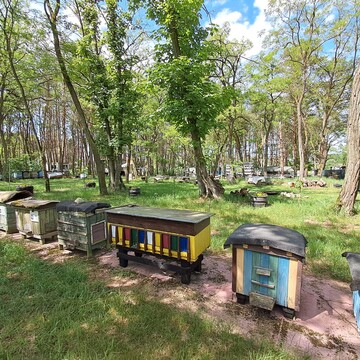 Pomnik Józefa Szalaya w Szczawnicy