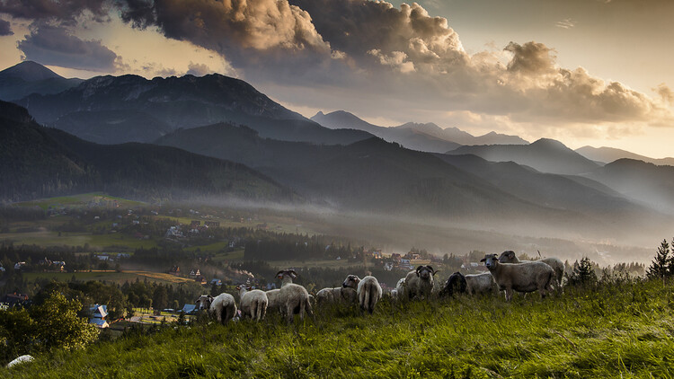 Zakopane, ulica Kościeliska - idealne miejsce na noclegi